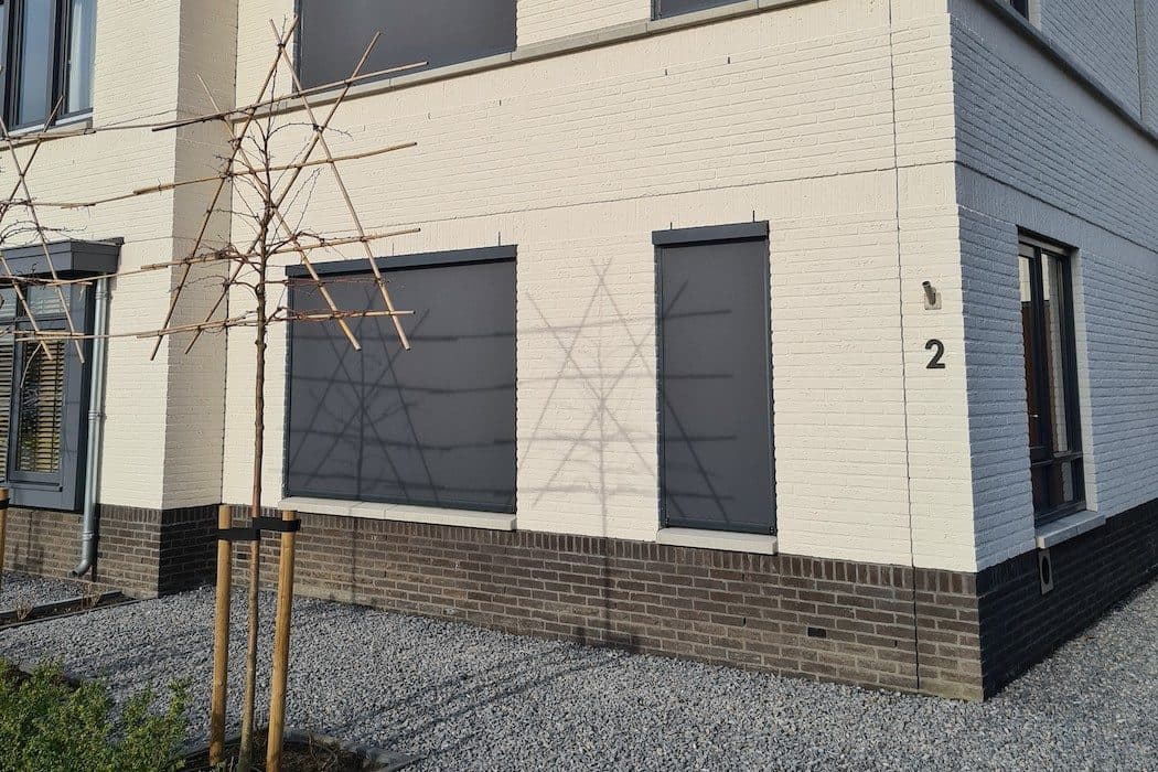 Antraciet screens voor de ramen van een woning met witte gevel en een jonge leiboom