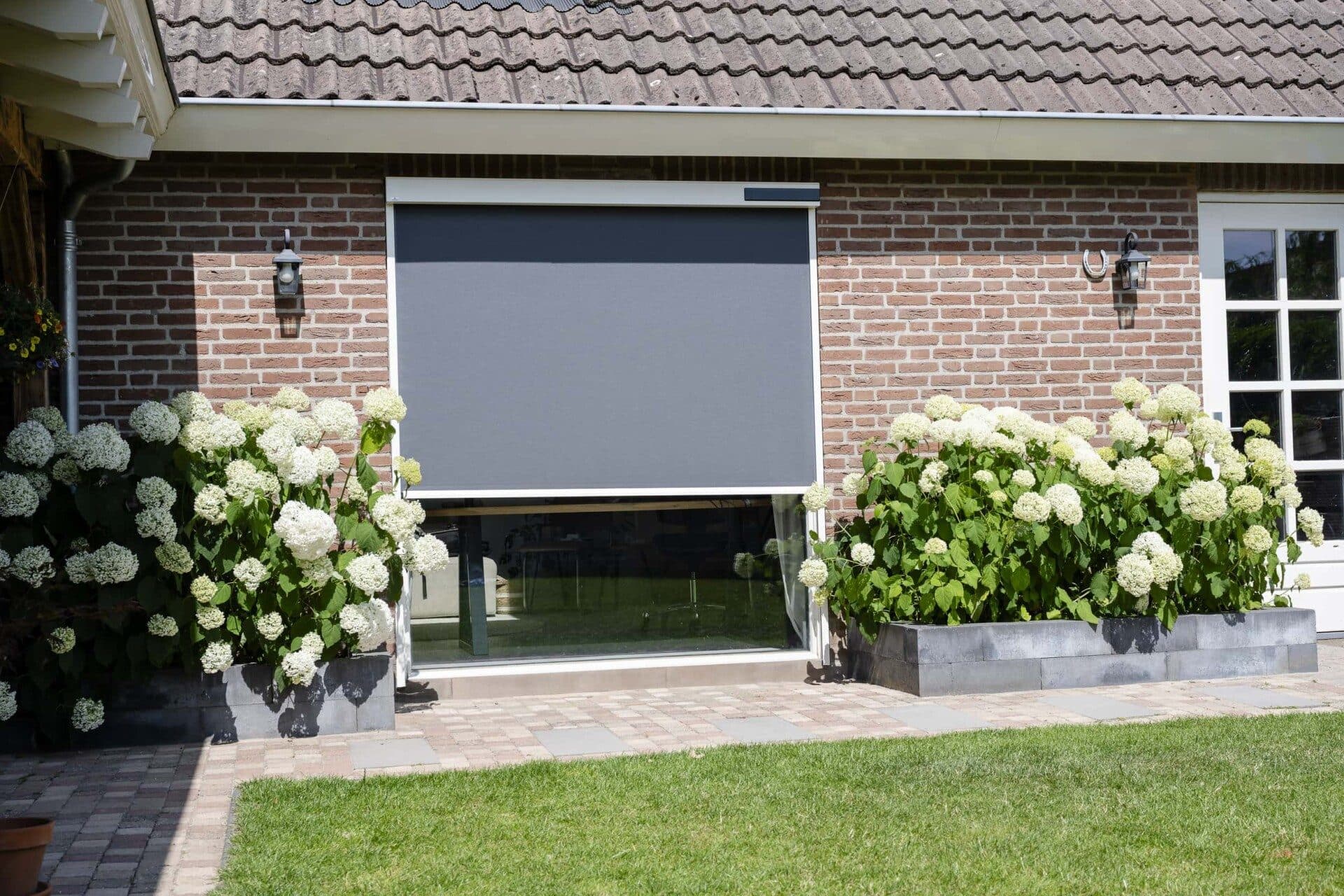 Antraciet screen voor een raam van een bakstenen woning met witte hortensia's
